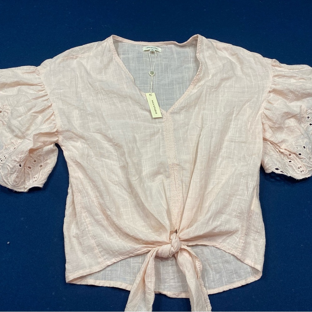 Blush sheer top by MAX STUDIO! Big sleeves are back! Perfect for Easter😍NWT😍